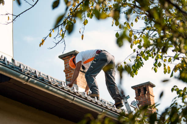 Best Roof Gutter Cleaning  in Anoka, MN