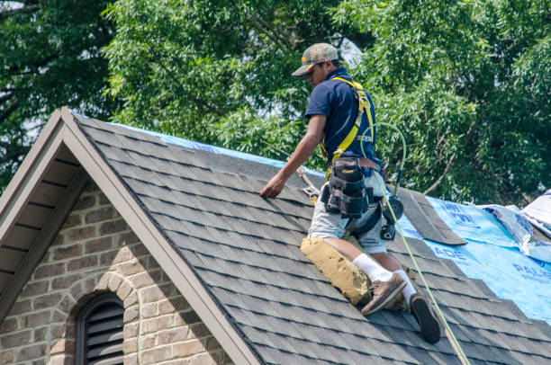 Gutter Installation and Roofing in Anoka, MN